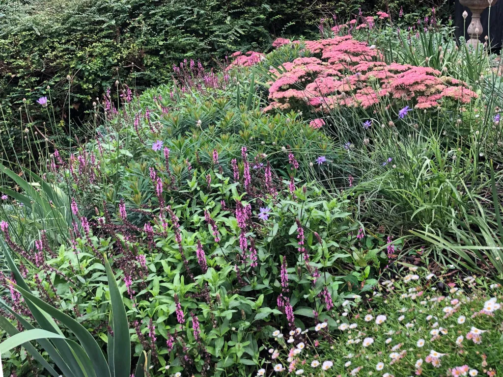 Garden design at Sylvan Place, Limpsfield