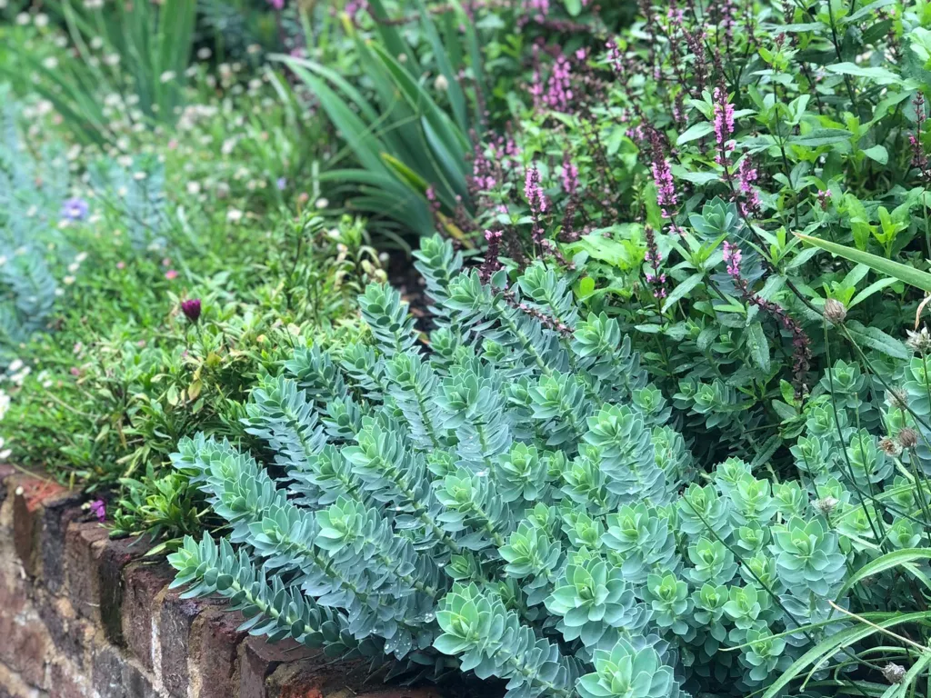 Garden design at Sylvan Place, Limpsfield