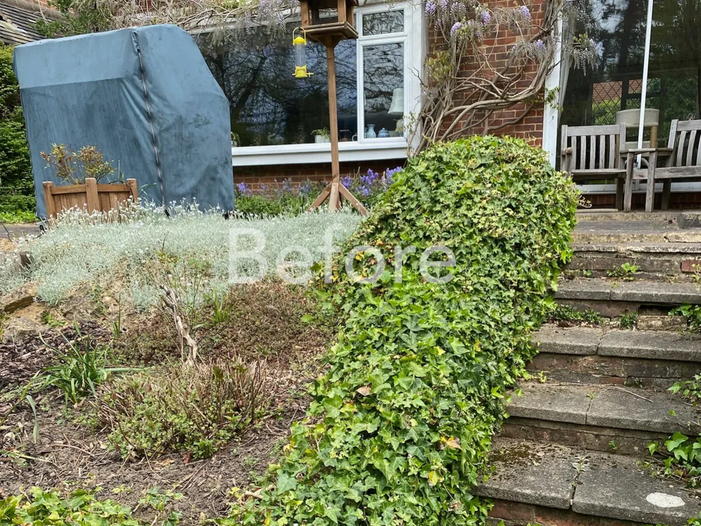 Garden design at Sylvan Place, Limpsfield