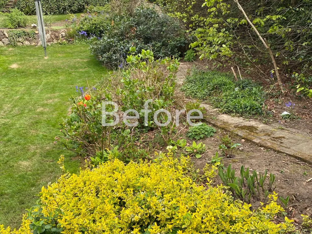 Garden design at Sylvan Place, Limpsfield