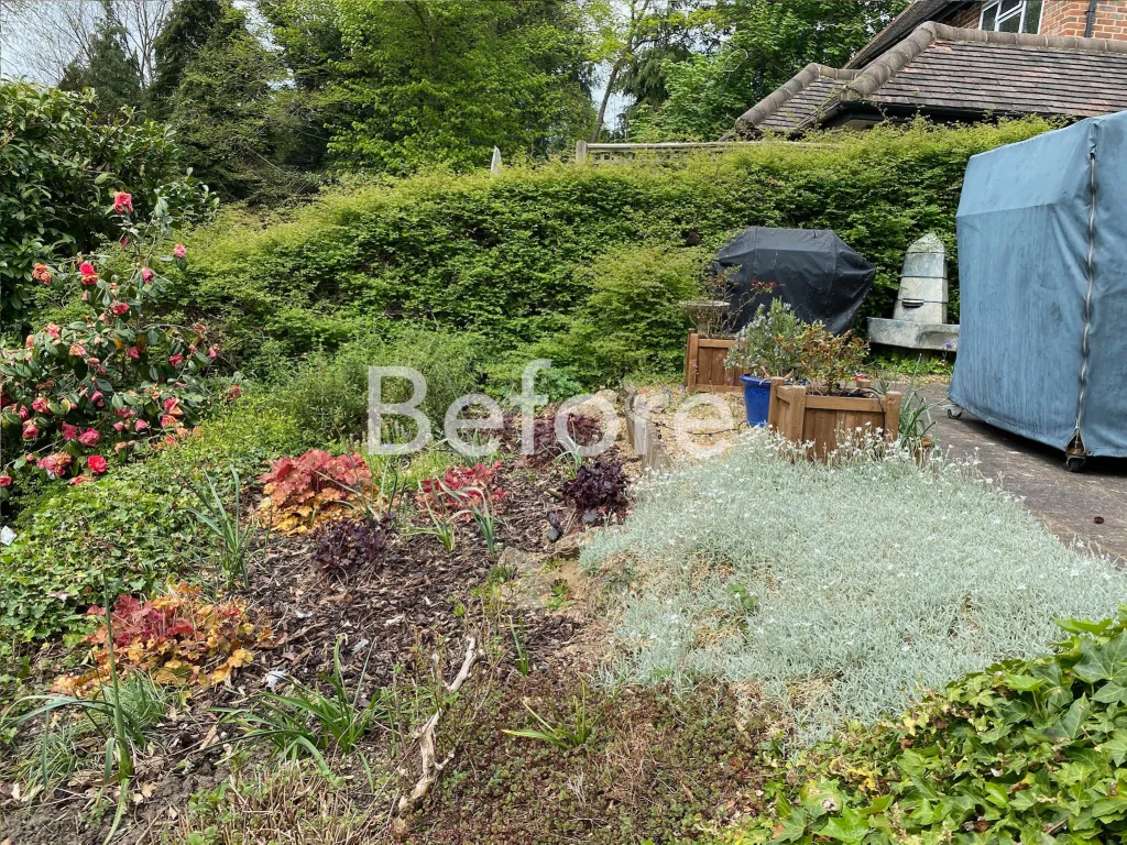 Garden design at Sylvan Place, Limpsfield