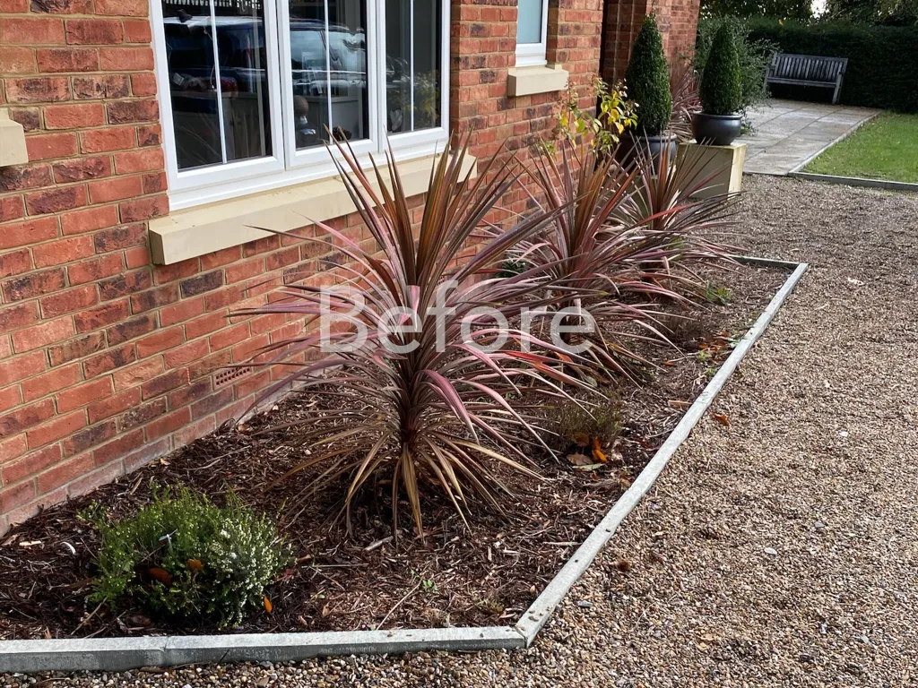 Garden design at Icehouse Wood, Oxted