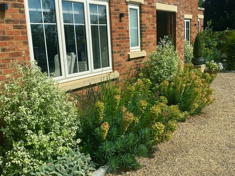 Garden design at Icehouse Wood, Oxted