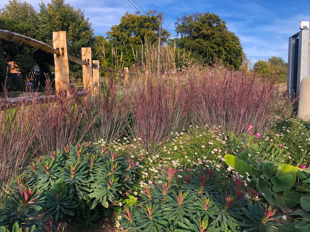 Garden design at Darenth Hill