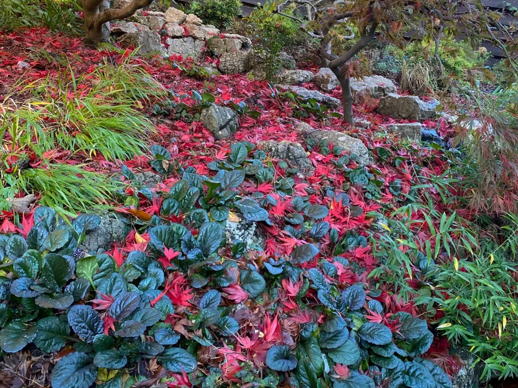 Garden design at Wynnstow Park, Oxted