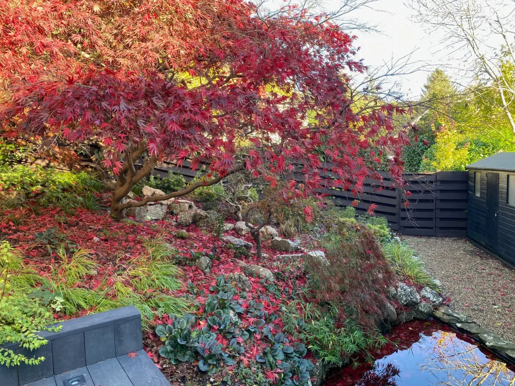 Garden design at Wynnstow Park, Oxted