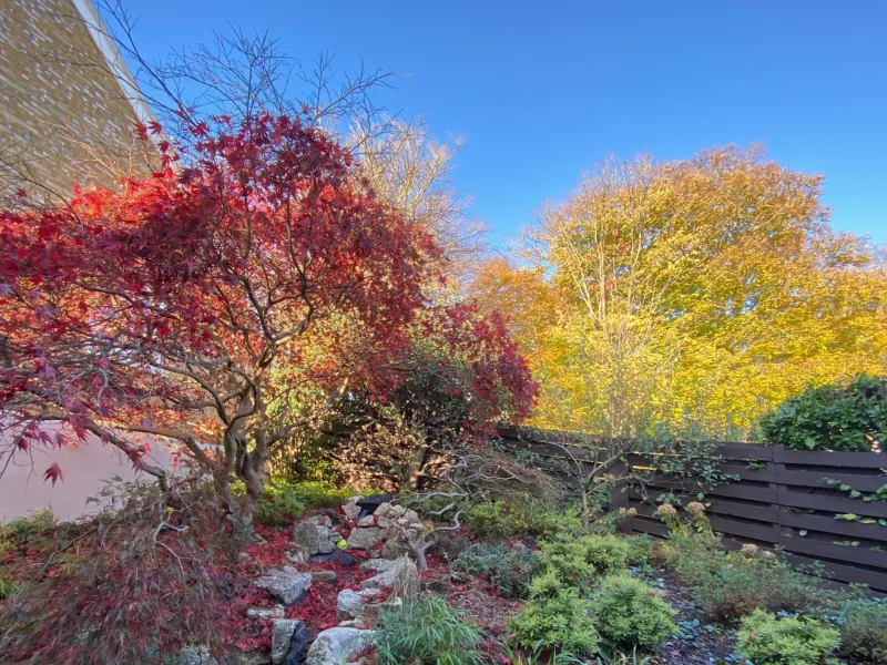 Garden design at Wynnstow Park, Oxted