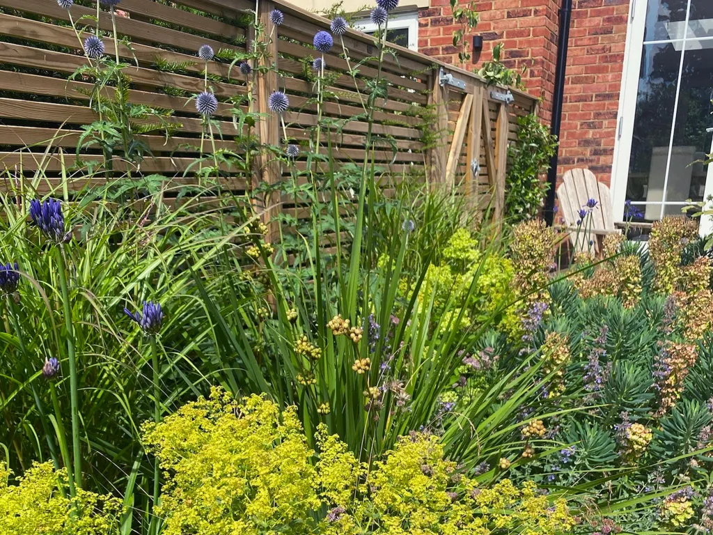 Garden design at Icehouse Wood, Oxted