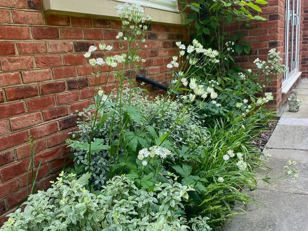 Garden design at Icehouse Wood, Oxted