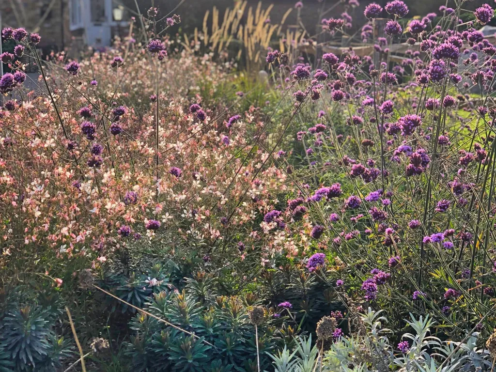 Garden design at Darenth Hill