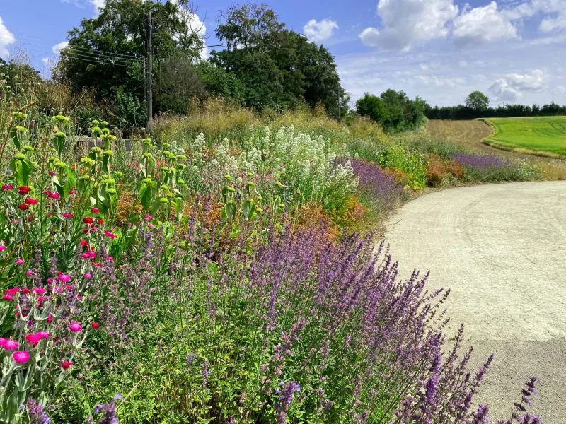 Garden design at Darenth Hill