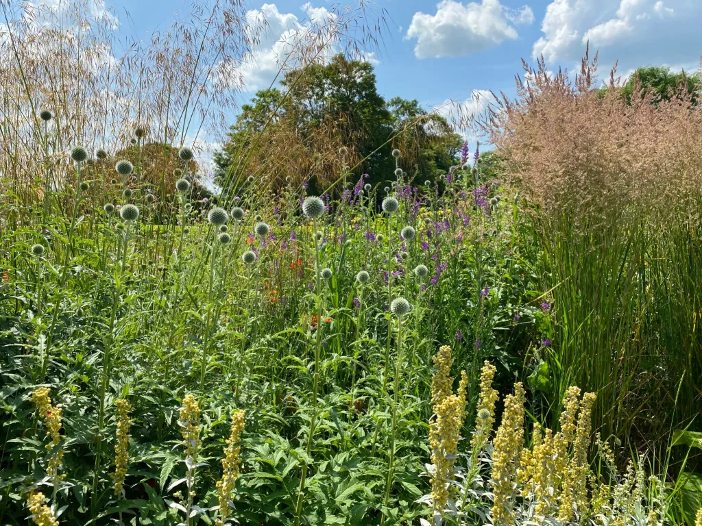 Garden design at Darenth Hill