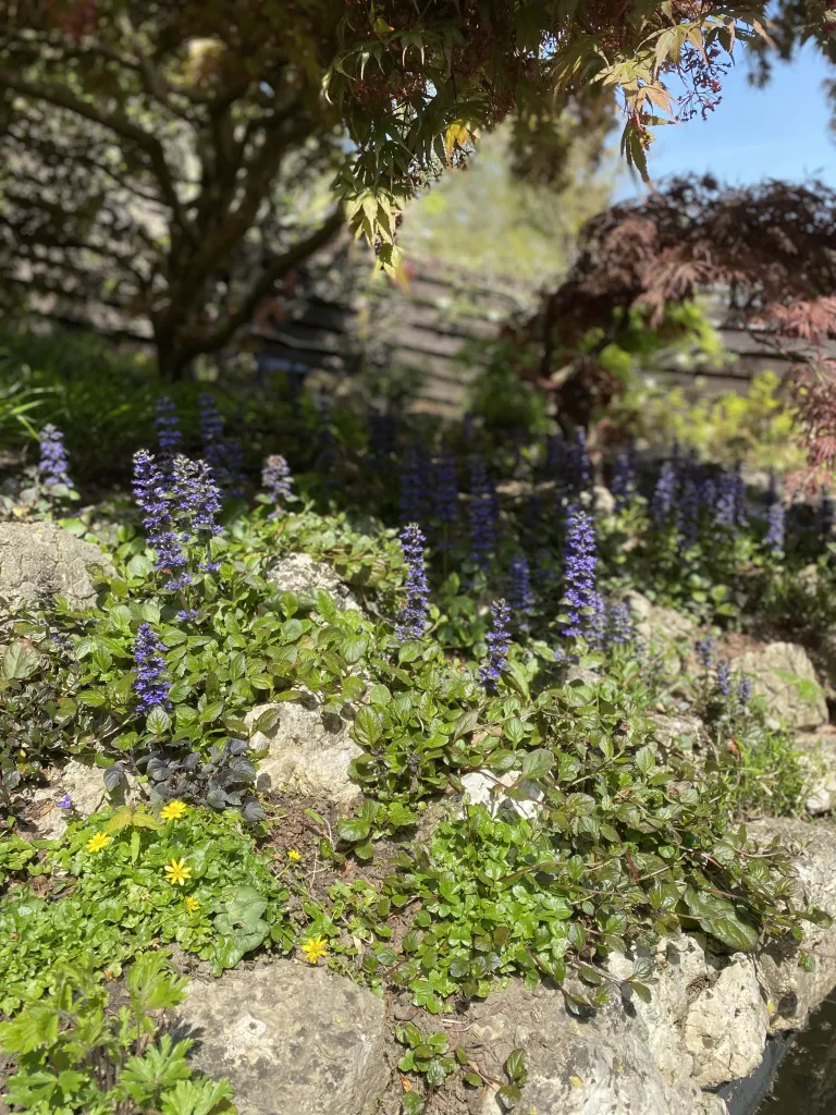 Garden design at Wynnstow Park, Oxted