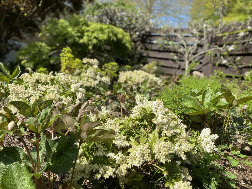 Garden design at Wynnstow Park, Oxted