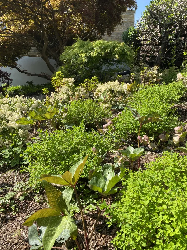 Garden design at Wynnstow Park, Oxted