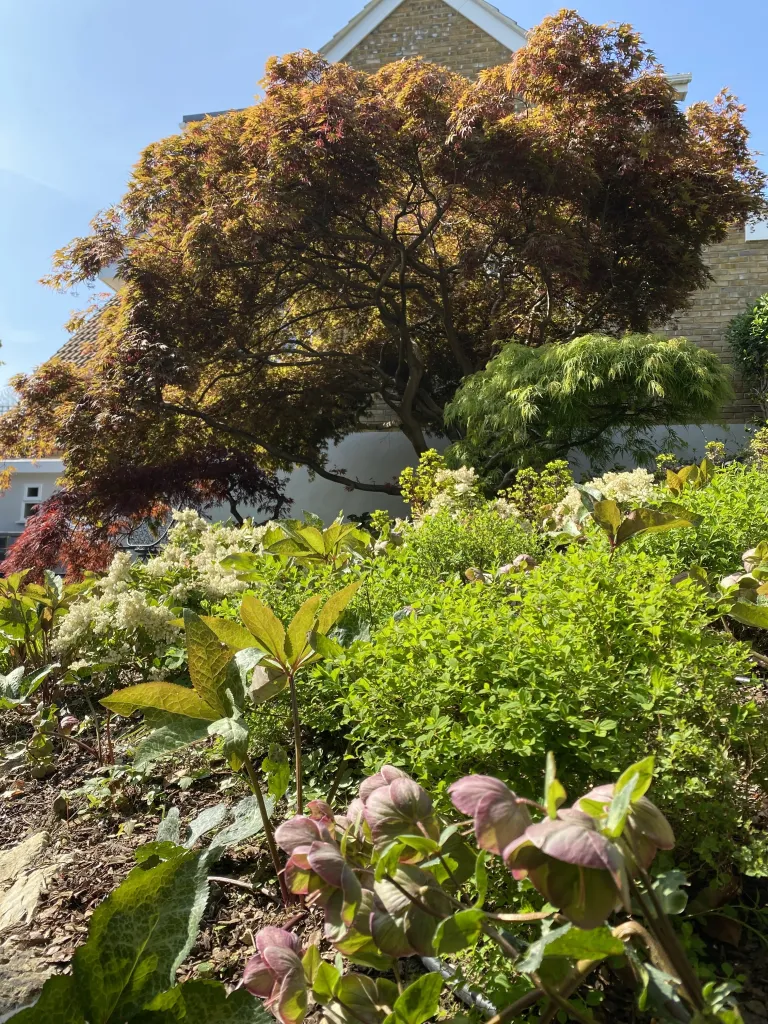 Garden design at Wynnstow Park, Oxted