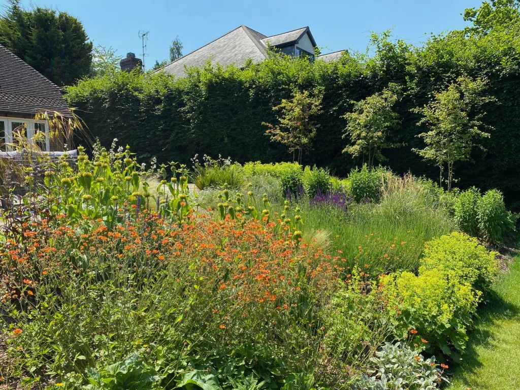 Garden design at Neb Lane, Oxted