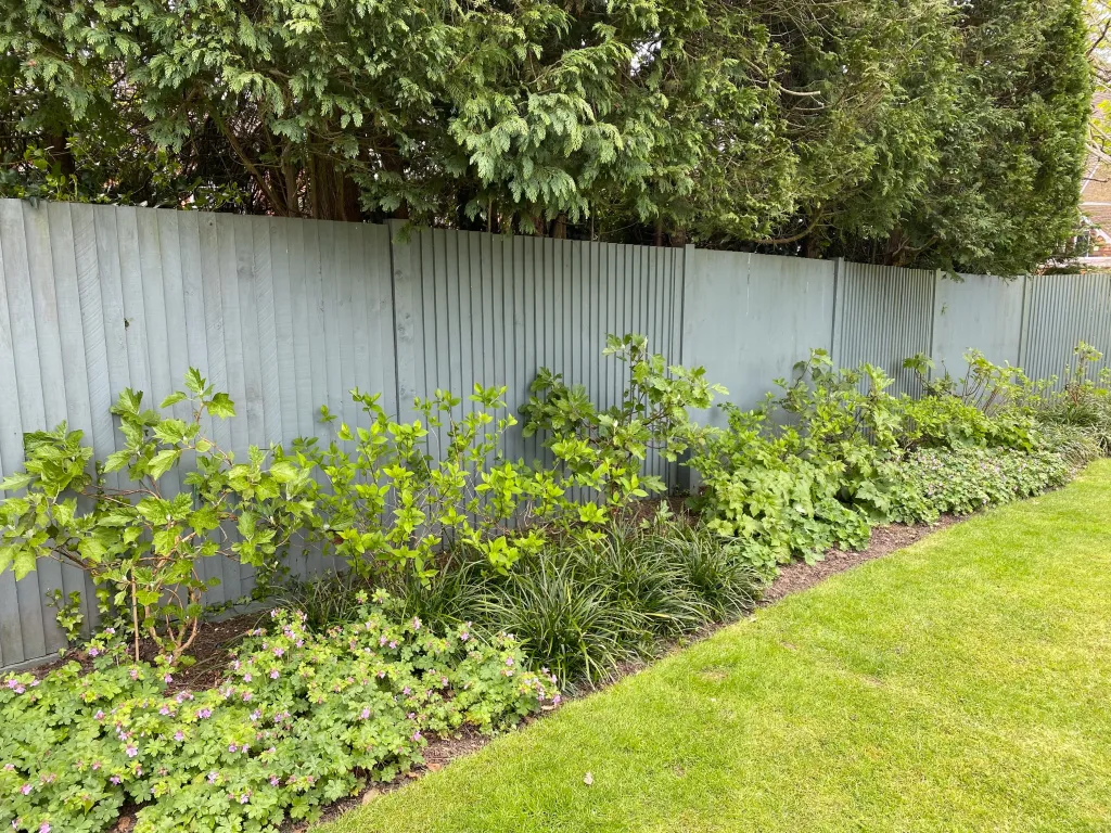 Garden design at Hookwood Park, Limpsfield