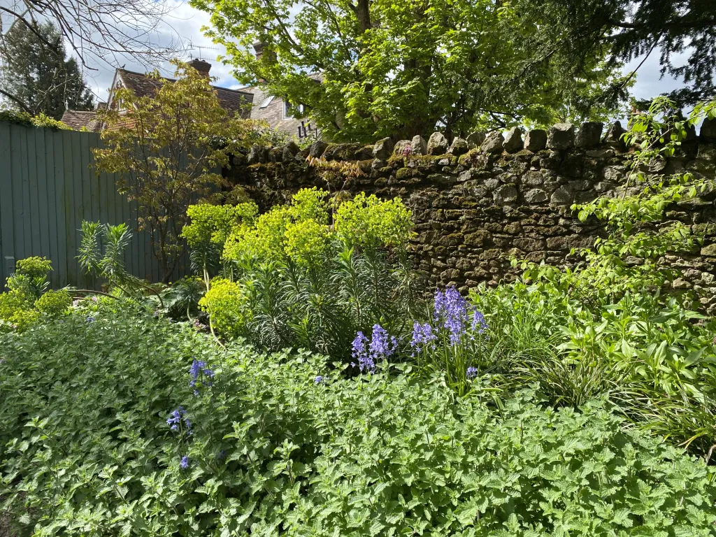 Garden design at Hookwood Park, Limpsfield