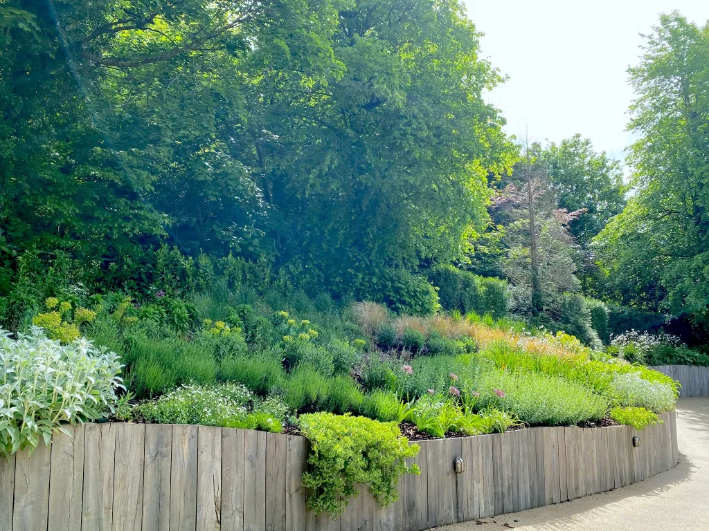 Garden design at Coopers Hill Road, Nutfield