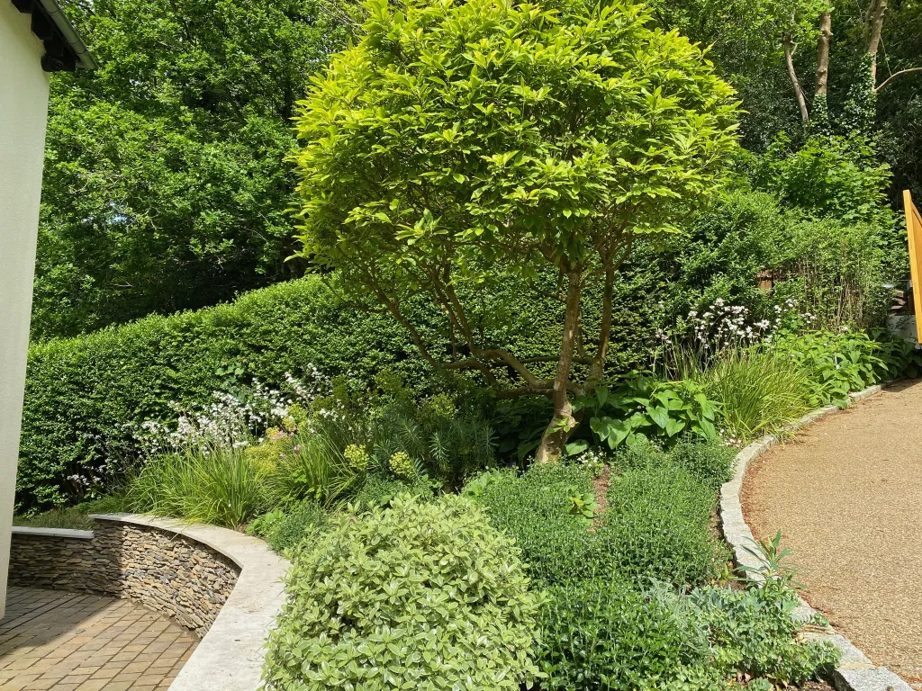 Garden design at Coopers Hill Road, Nutfield