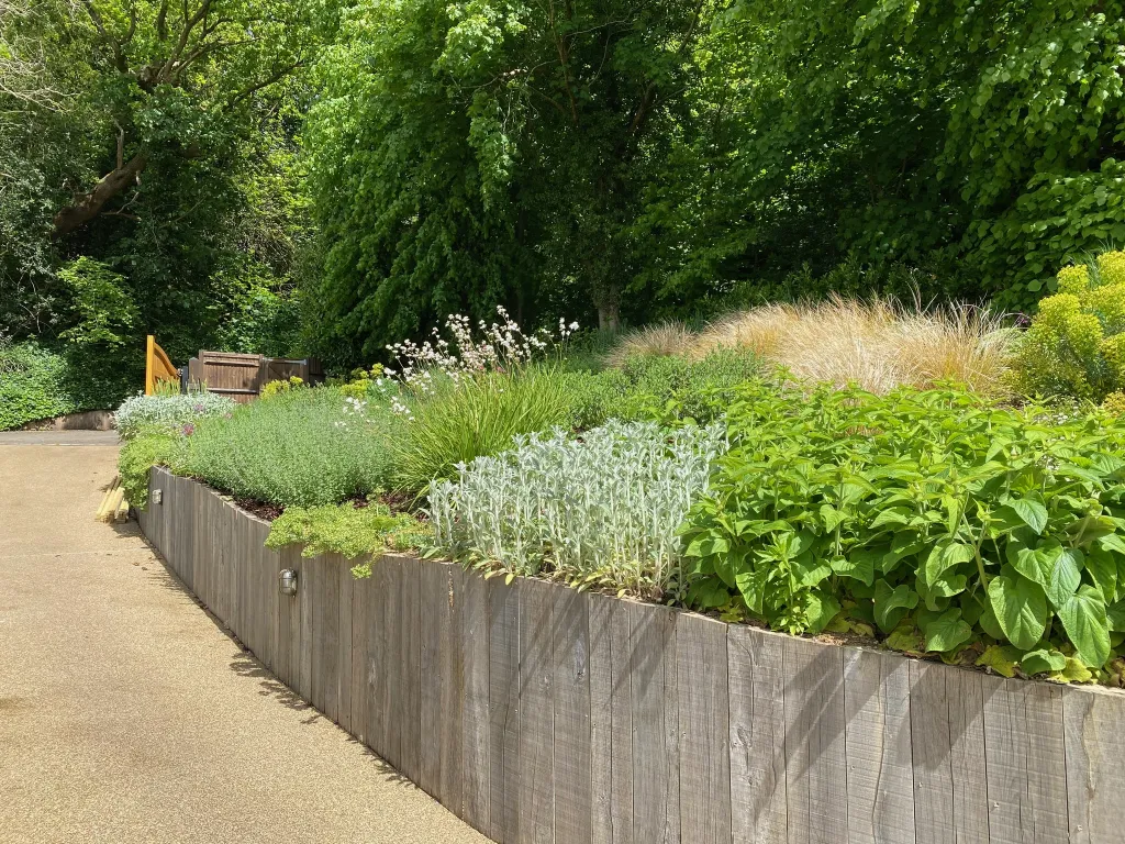 Garden design at Coopers Hill Road, Nutfield