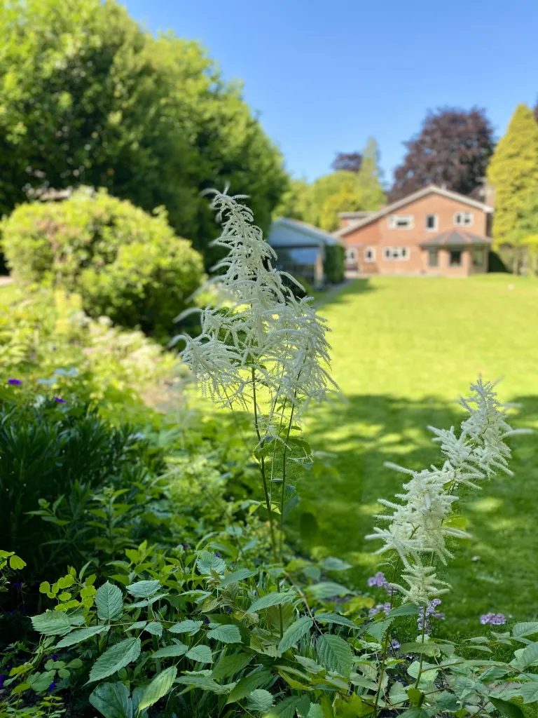 Garden design at Rockfield Road  II, Oxted