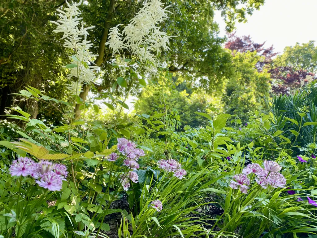Garden design at Rockfield Road  II, Oxted