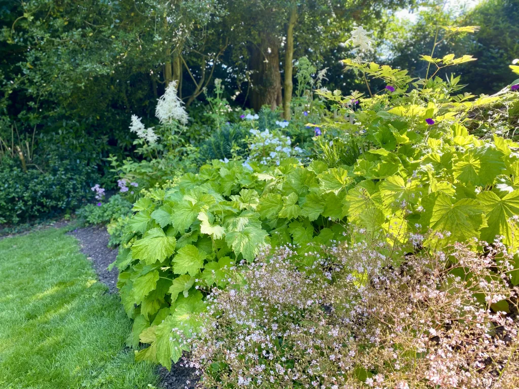 Garden design at Rockfield Road  II, Oxted