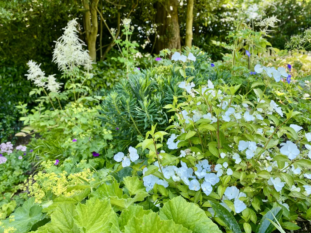 Garden design at Rockfield Road  II, Oxted