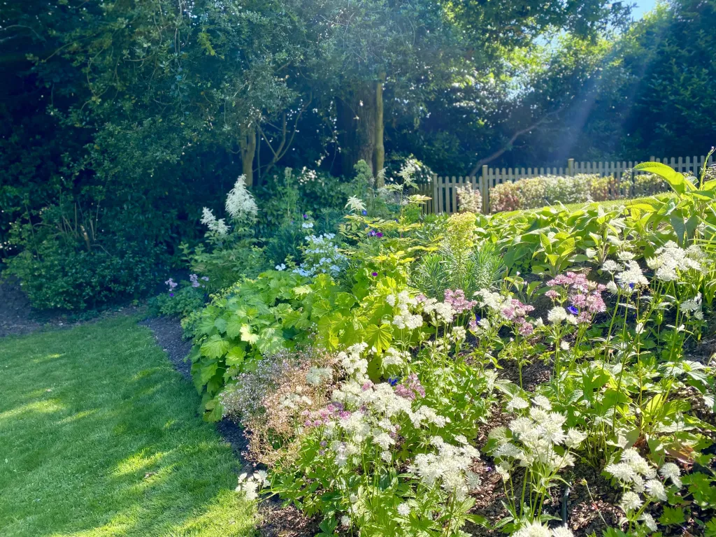 Garden design at Rockfield Road  II, Oxted