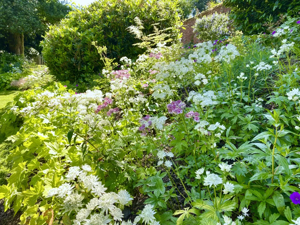 Garden design at Rockfield Road  II, Oxted