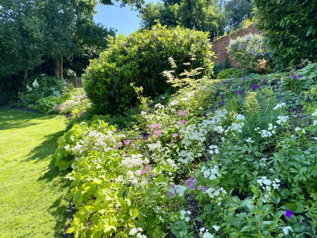 Garden design at Rockfield Road  II, Oxted