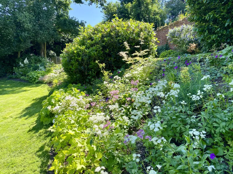 Garden design at Rockfield Road  II, Oxted