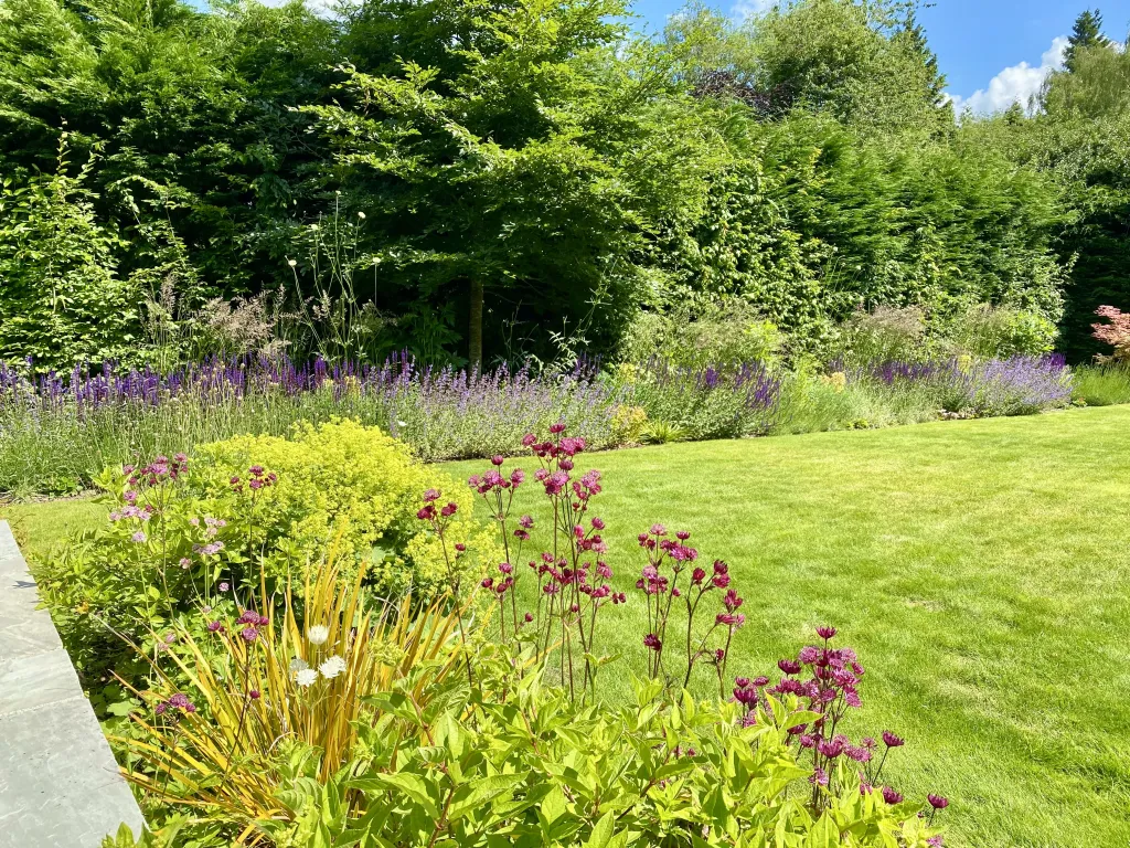Garden design at Rockfield Road  I, Oxted