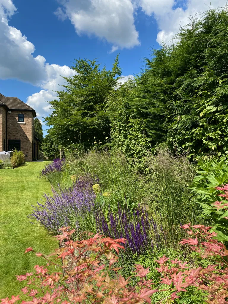 Garden design at Rockfield Road  I, Oxted