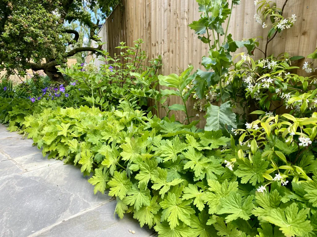 Garden design at Wilmington