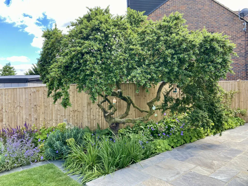 Garden design at Wilmington