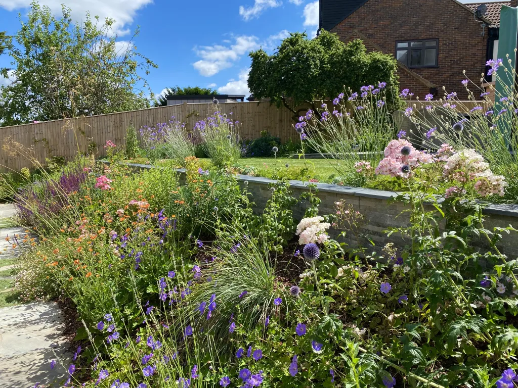 Garden design at Wilmington