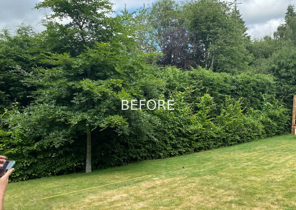 Garden design at Rockfield Road  I, Oxted