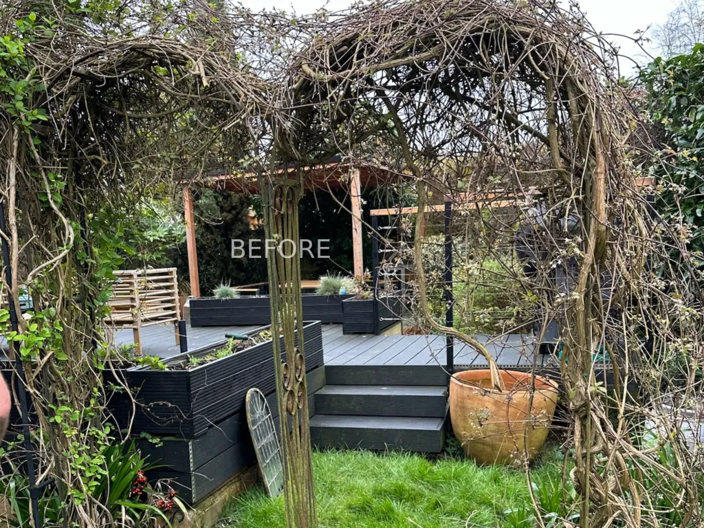 Garden design at Croydon Road II, Reigate