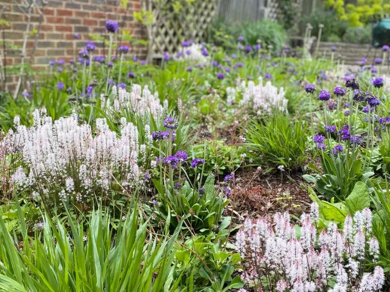 Garden design at Hookwood Park, Limpsfield