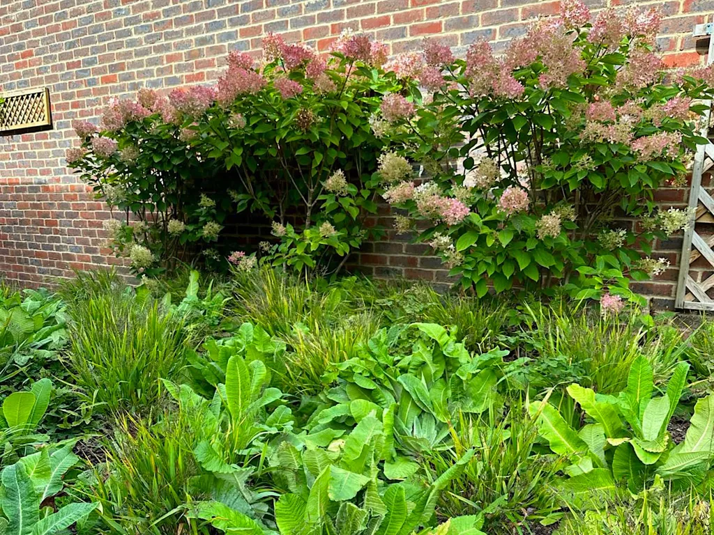 Garden design at Hookwood Park, Limpsfield