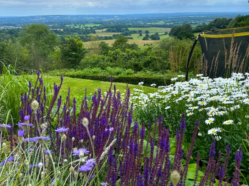 Garden design at Kent Hatch Road, Crockham Hill