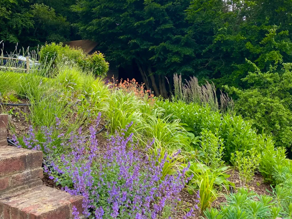 Garden design at Kent Hatch Road, Crockham Hill