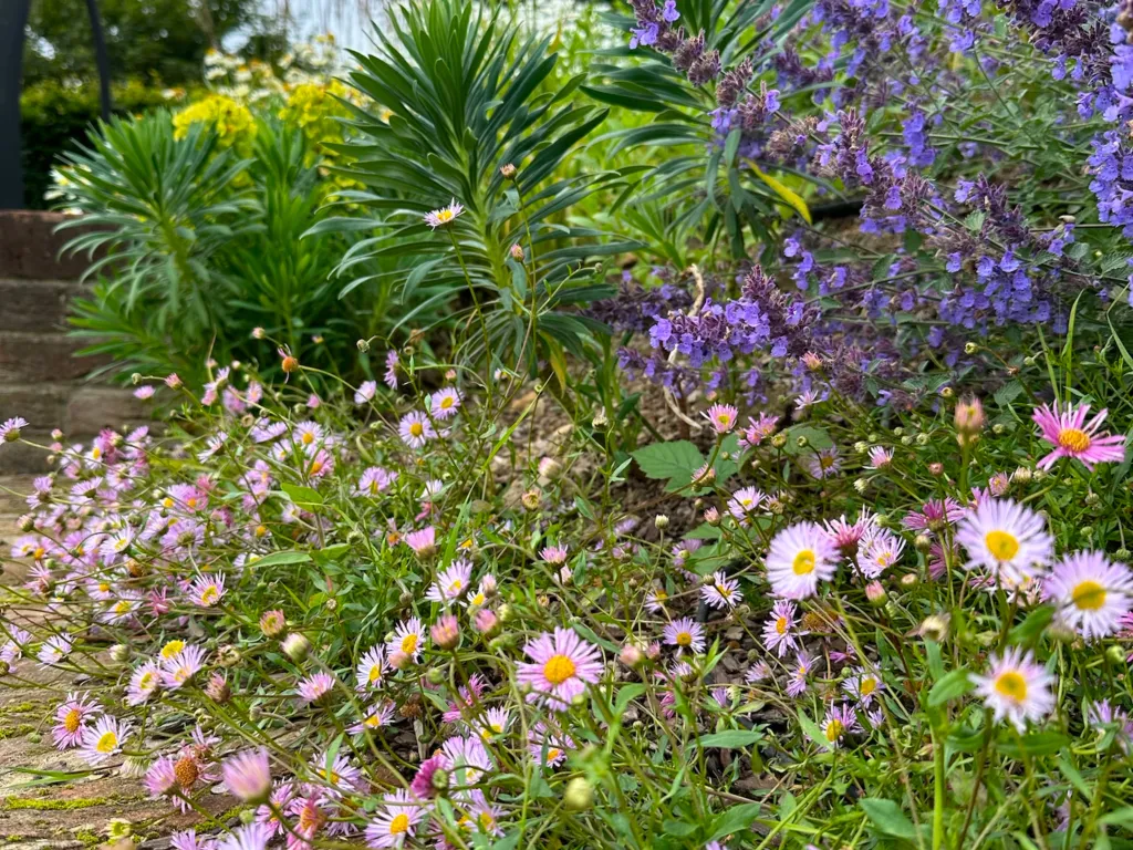 Garden design at Kent Hatch Road, Crockham Hill