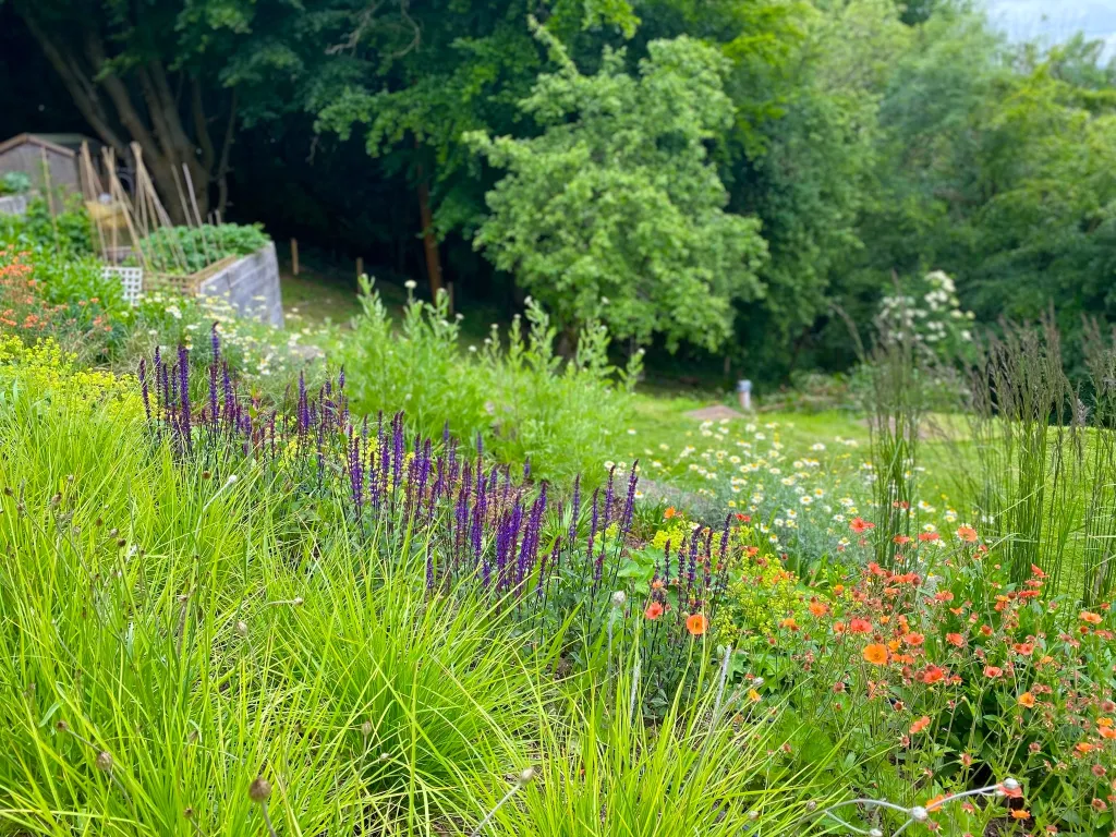Garden design at Kent Hatch Road, Crockham Hill