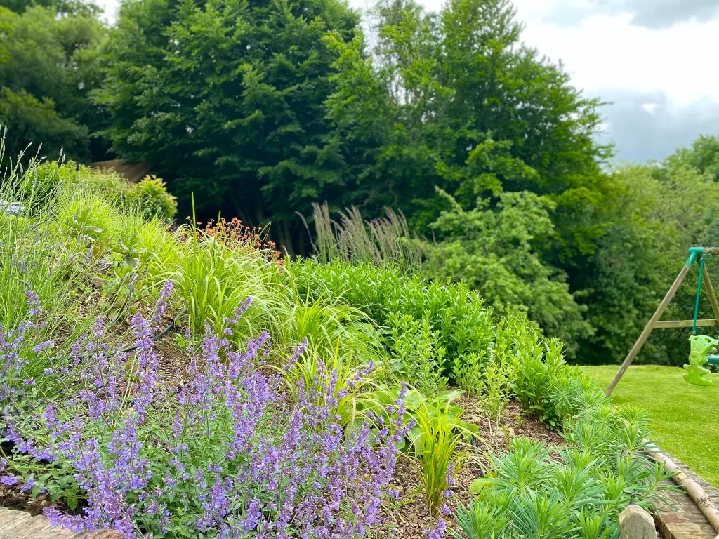 Garden design at Kent Hatch Road, Crockham Hill