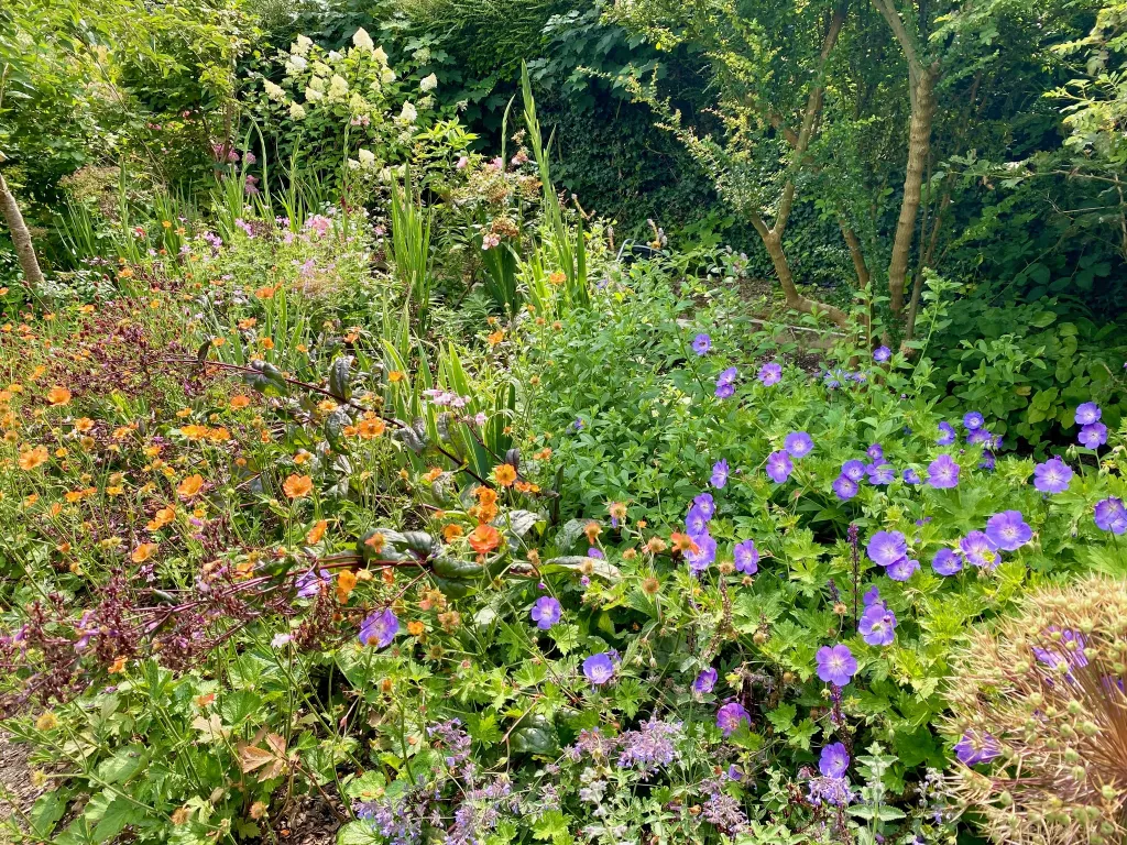 Garden design at Norfolk Avenue II, Sanderstead
