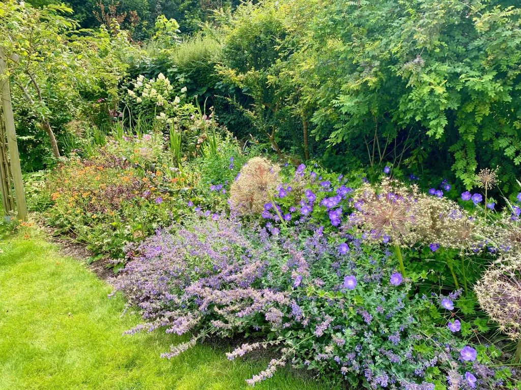 Garden design at Norfolk Avenue II, Sanderstead